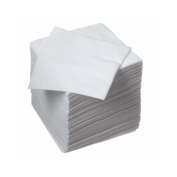 SERVIETTES BLANCHES 40x40 2 PLIS X2000 PB