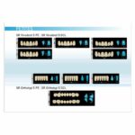 CARTE DE FORMES VIVANTES SR VIVODENT S DCL X6 + X8