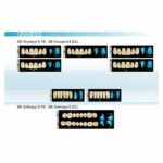 CARTE DE FORMES VIVANTES SR VIVODENT S DCL X6 + X8 – Image 3