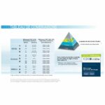 CARTE DE FORMES VIVANTES SR VIVODENT S DCL X6 + X8 – Image 4
