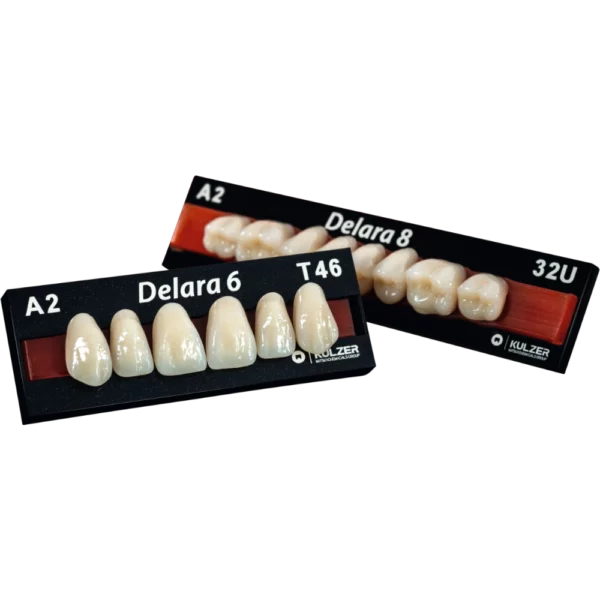 DELARA KULZER ANTERIEURES X6