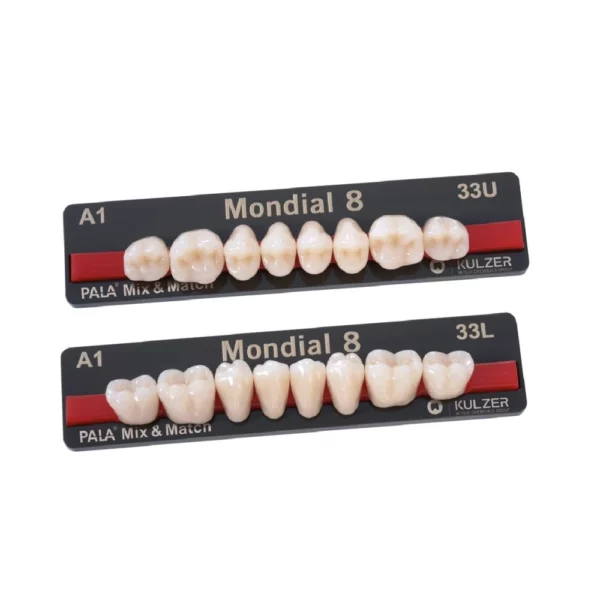 MONDIAL HERAEUS DENTS POSTERIEURES X8