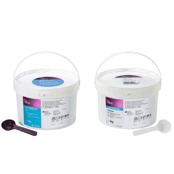 PALA LAB PUTTY 90 SHORE BLEU CLAIR 2X5 kg ref 66057433