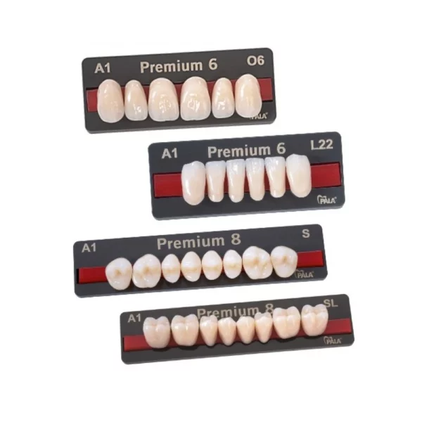 PREMIUM HERAEUS DENTS POSTERIEURES X8